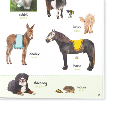 Ilustrações de animais com nomes em inglês e português, burro com manta azul, cavalo com manta amarela.