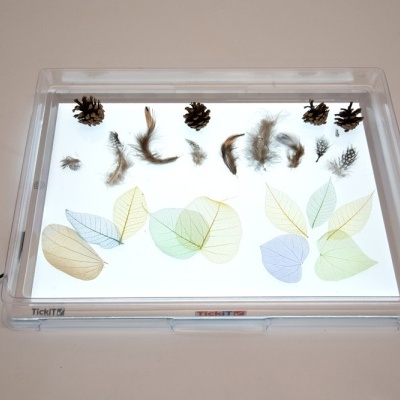 Caixa de luz transparente com folhas coloridas, pinhas e penas sobre superfície iluminada