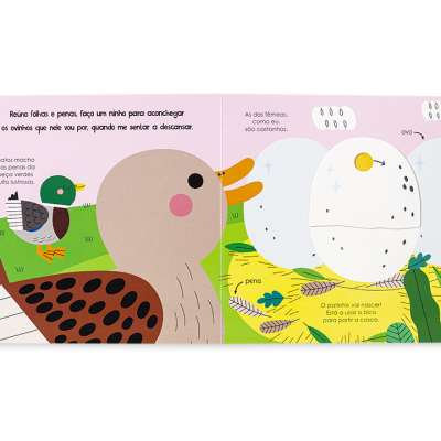 Página ilustrada de livro infantil com pato e ovo