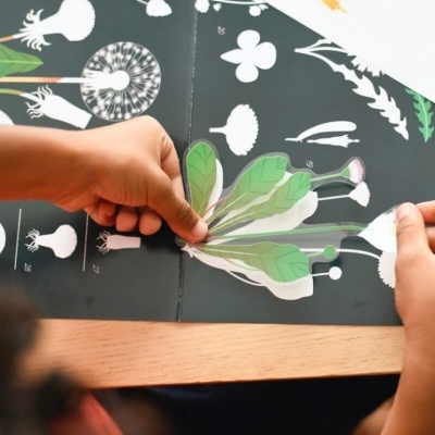 Livro interativo de plantas com folhas verdes levantadas por mãos de criança sobre mesa de madeira