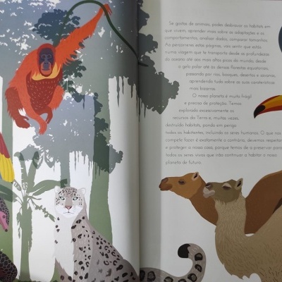 Ilustração de diversos animais selvagens em vegetação