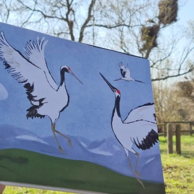 Livro ilustrado com cegonhas brancas em campo verde