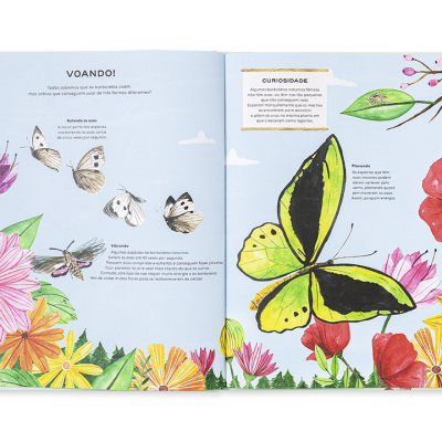 Livro infantil aberto com ilustrações de borboletas e flores coloridas