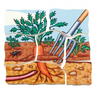 Ilustração de uma cenoura no solo com ancinho, formiga e minhoca