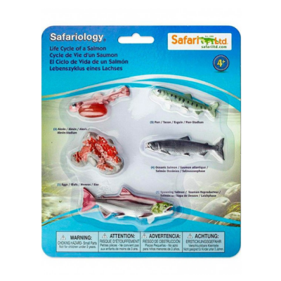 Conjunto educativo de figuras em plástico do ciclo de vida do salmão embalado num cartão azul.
