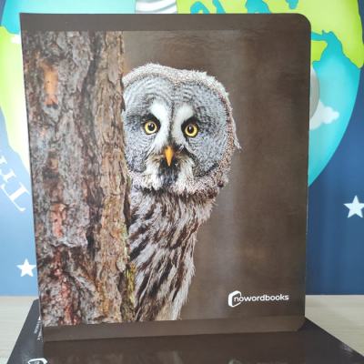 Capa de livro com imagem de coruja cinzenta espiando por trás de tronco de árvore