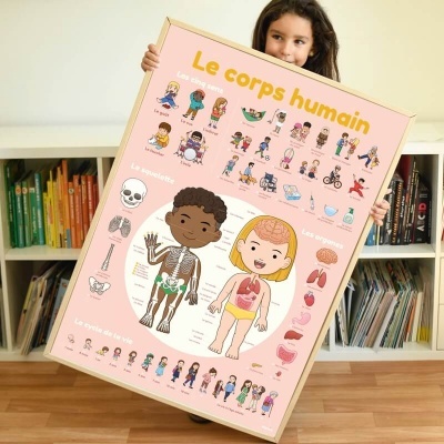 Poster educativo sobre o corpo humano em francês com ilustrações coloridas, segurado por criança em interior com livros.
