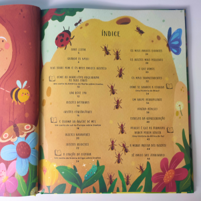 Página de índice ilustrada de livro sobre insetos com desenhos coloridos e texto em português