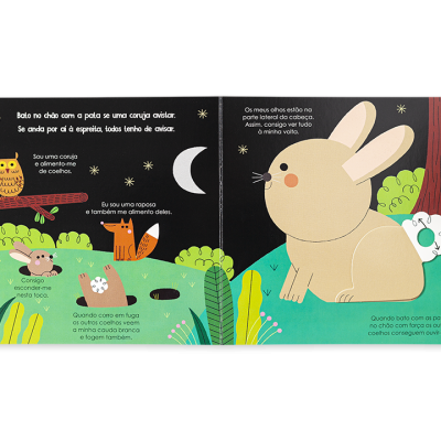 Livro ilustrado com animais noturnos e texto em português.