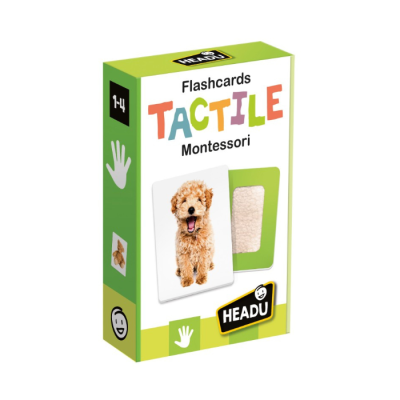 Caixa de flashcards táteis com imagem de cachorro e textura