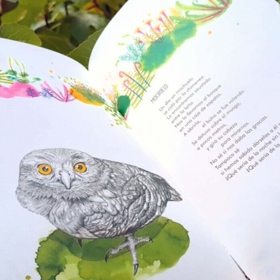 Livro aberto com ilustração de coruja e texto em português, sobre fundo de folhas verdes.