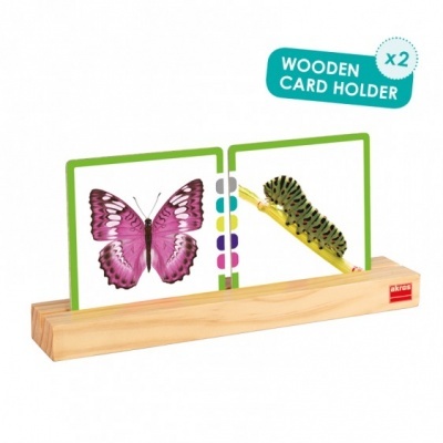 Suporte de madeira para cartões com cartas de borboleta e lagarta