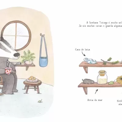 Ilustração de texugo num interior com janelas, mesa pequena e prateleiras com objetos rotulados.