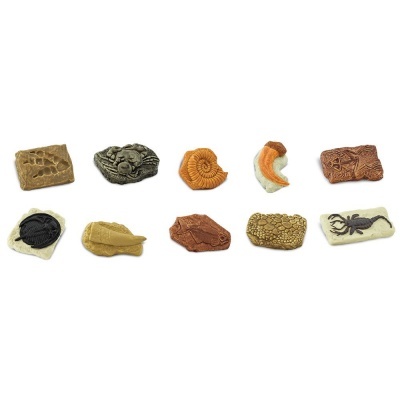 Dez pequenos modelos de fósseis variados em várias cores sobre fundo branco