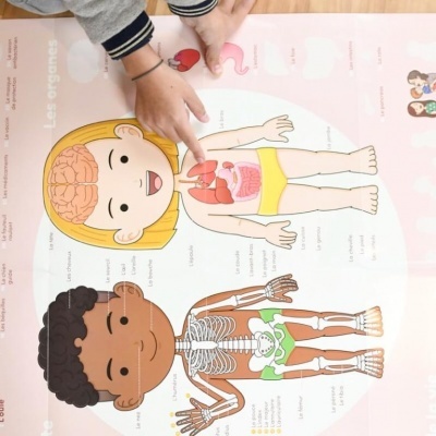 Cartaz educativo ilustrando órgãos e esqueleto do corpo humano com mãos de criança apontando