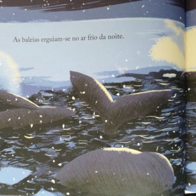 Ilustração de baleias no mar à noite com gelo e texto em português