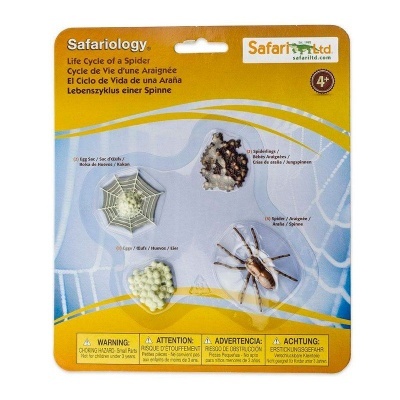 Modelos do ciclo de vida de uma aranha em embalagem Safari Ltd com fundo azul e amarelo.