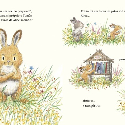 Ilustração de livro infantil com coelhos num campo e texto em português