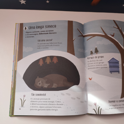 Página de livro ilustrado sobre animais que hibernam com texto e imagens de ursos e uma colmeia no inverno