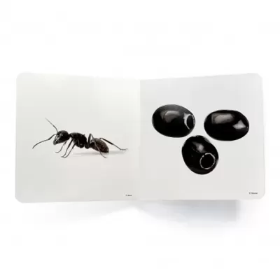 Livro infantil aberto com imagem de uma formiga e três azeitonas pretas sobre fundo branco