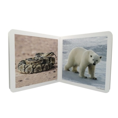 Livro infantil aberto com fotos de serpente e urso polar