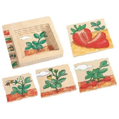 Peças de jogo com ilustrações de plantas de morango em diferentes estágios e embalagem de madeira clara