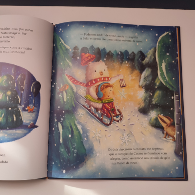 Ilustração colorida em livro infantil com menino e urso branco a descer colina de neve em trenó