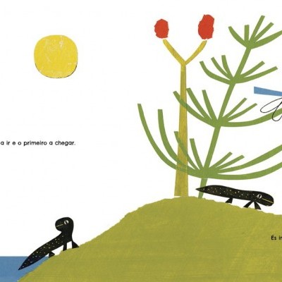Desenho simples de salamandras, planta, libélula e sol com texto em português
