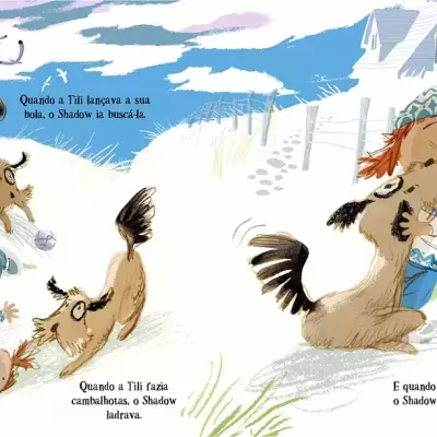 Ilustração de cães castanhos a brincar na areia com texto em português sobre eles