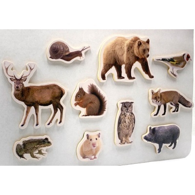 Conjunto de autocolantes com imagens realistas de vários animais sobre fundo branco