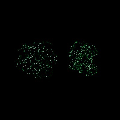 Duas formações de pontos de luz verdes num fundo preto