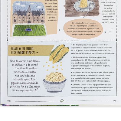 Página de revista com ilustrações de milho, pipocas e castelo, texto sobre milho em português europeu.