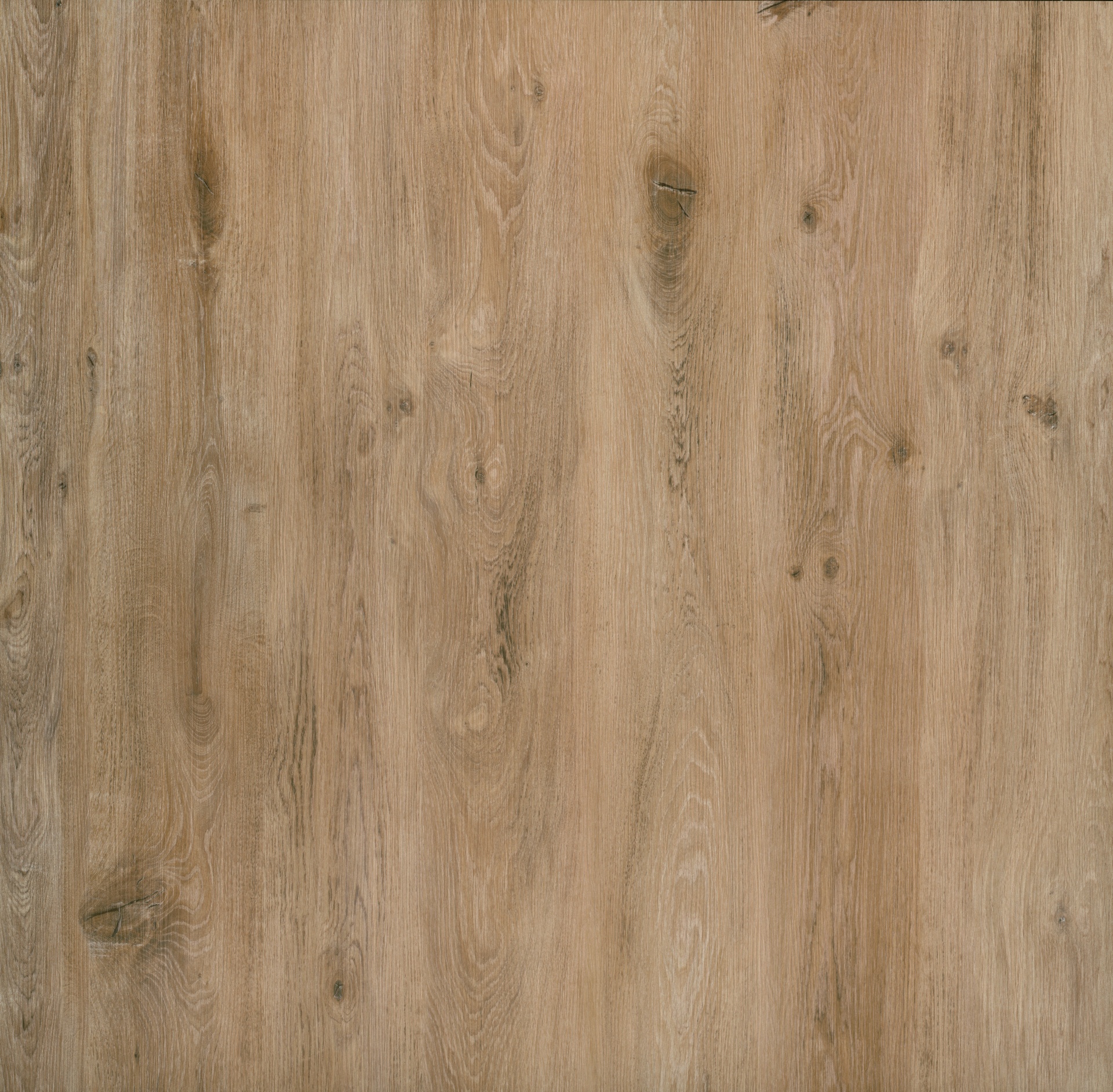 GRIT 1523 FELICA — Pavimento LVT & SPC Série VIVA Light brown wooden laminate flooring with wood grain texture