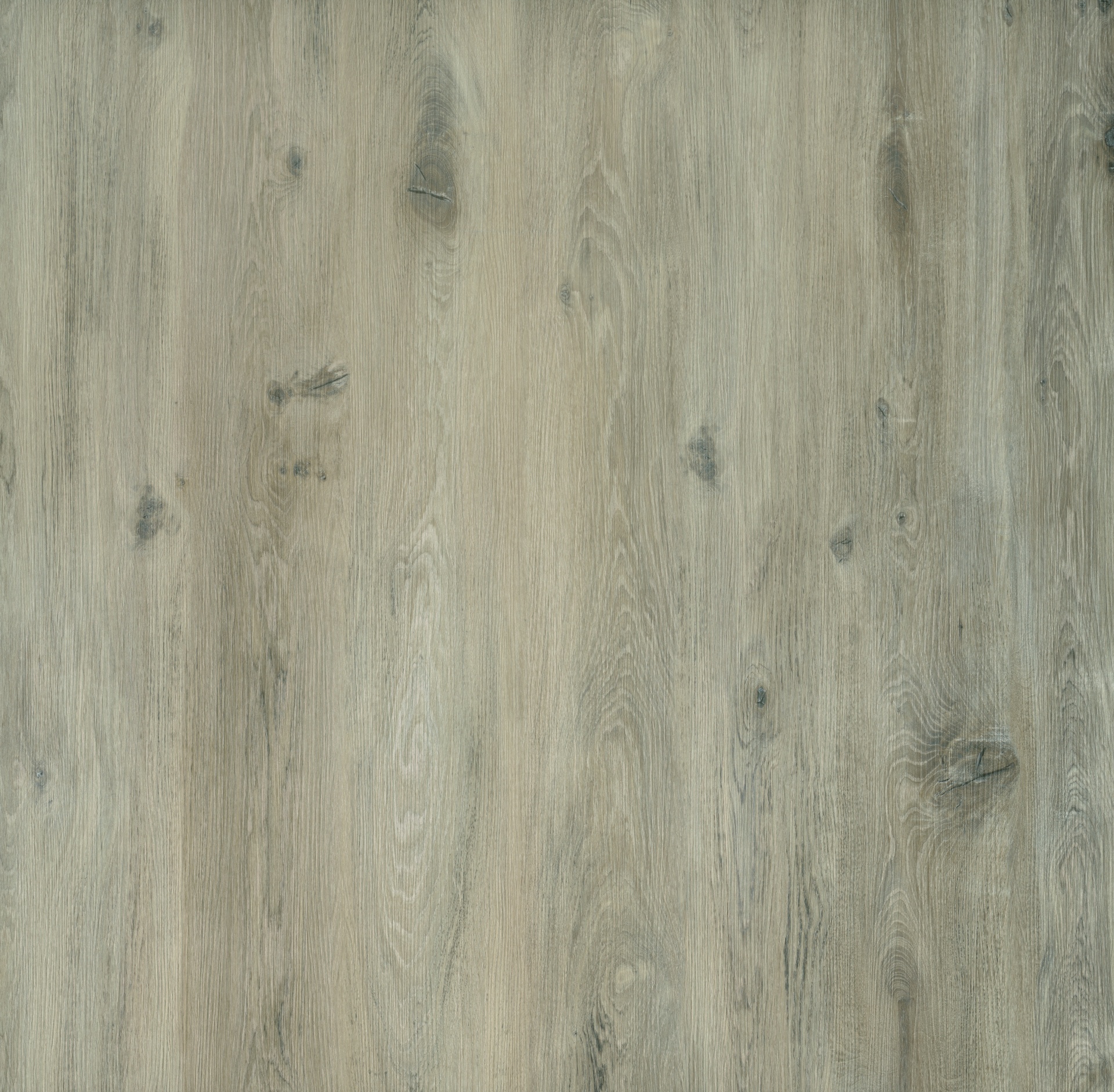 GRIT 1527 GITARO — Pavimento LVT & SPC Série VIVA Light gray-brown wooden surface with knots and grain pattern
