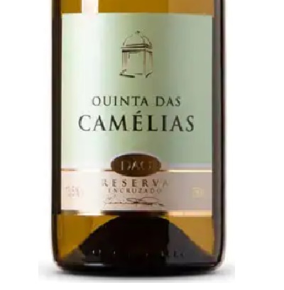 Quinta das Camélias - Encruzado - Reserva Garrafa de vinho branco Quinta das Camélias Reserva Encruzado
