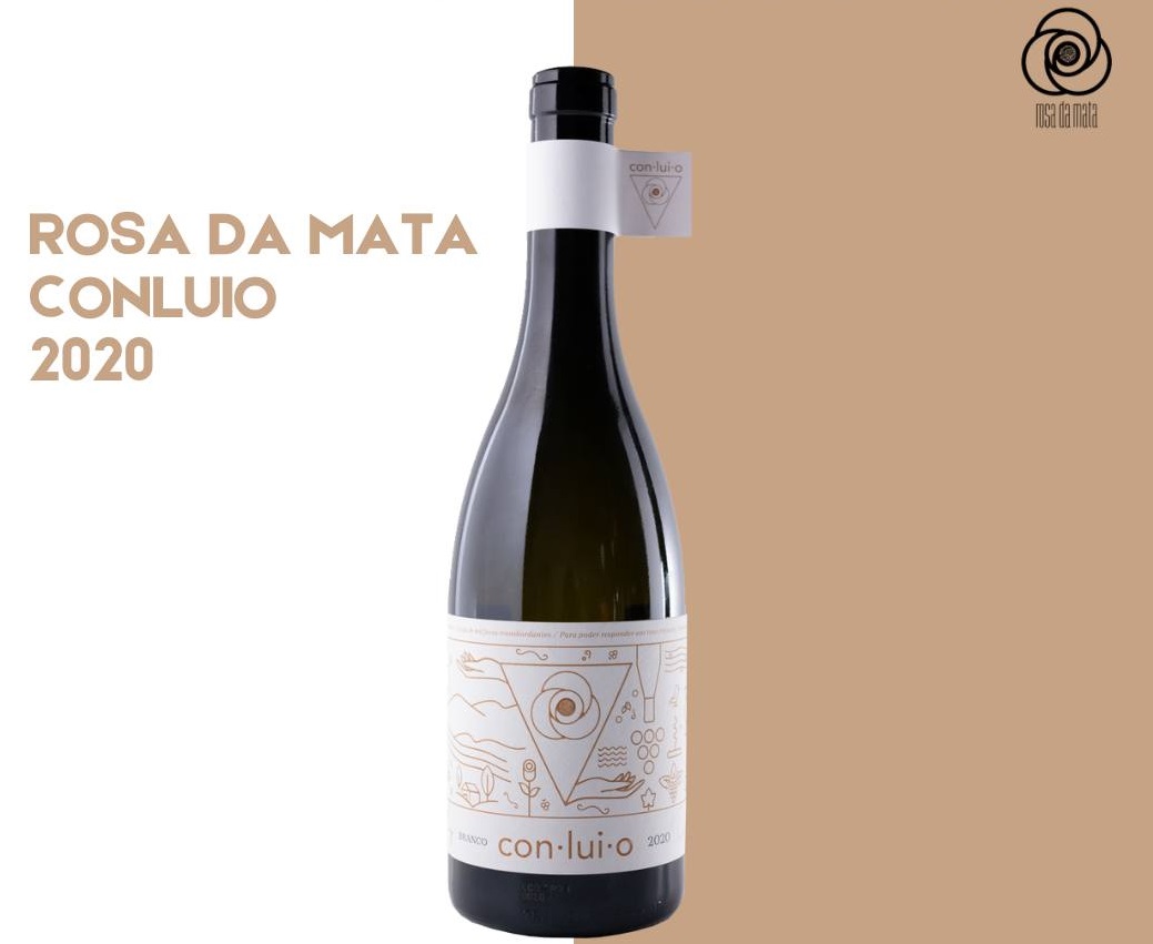 Conluio Branco 2020 Garrafa de vinho com rótulo branco e desenho castanho claro