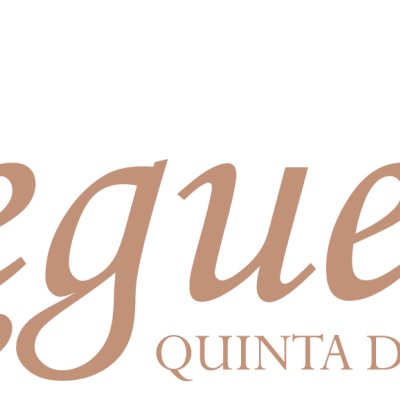 Logo Regueiro Quinta do Regueiro em castanho claro sobre fundo branco
