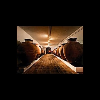 Adega com grandes ânforas de cerâmica castanha alinhadas