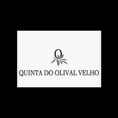 Logótipo QUINTA DO OLIVAL VELHO com ramos de oliveira preto e branco