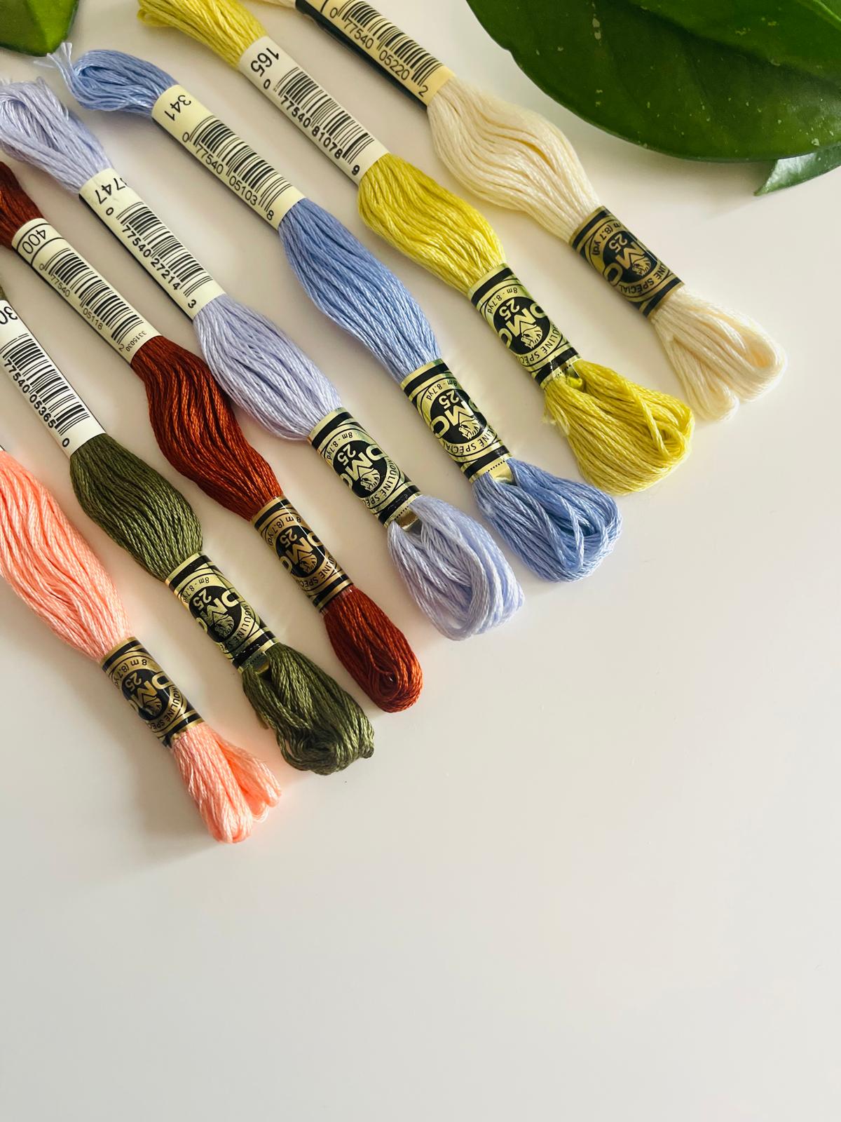 Novelos de linha de bordar DMC coloridos sobre superfície branca com folha verde.