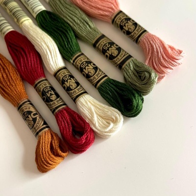 Seis novelos coloridos de fio mouliné DMC 25 sobre fundo branco.