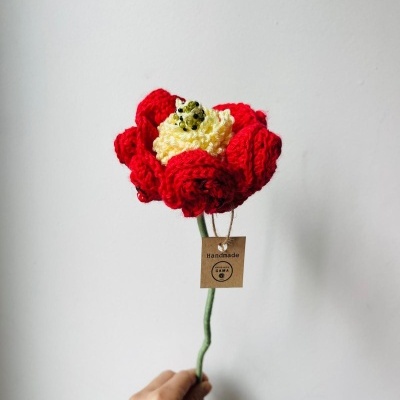 Flor feita à mão em croché a ser segurada por uma mão