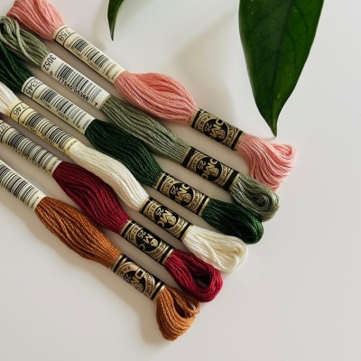 Novelos de fio mouliné DMC 25 de várias cores sobre mesa branca com folhas verdes