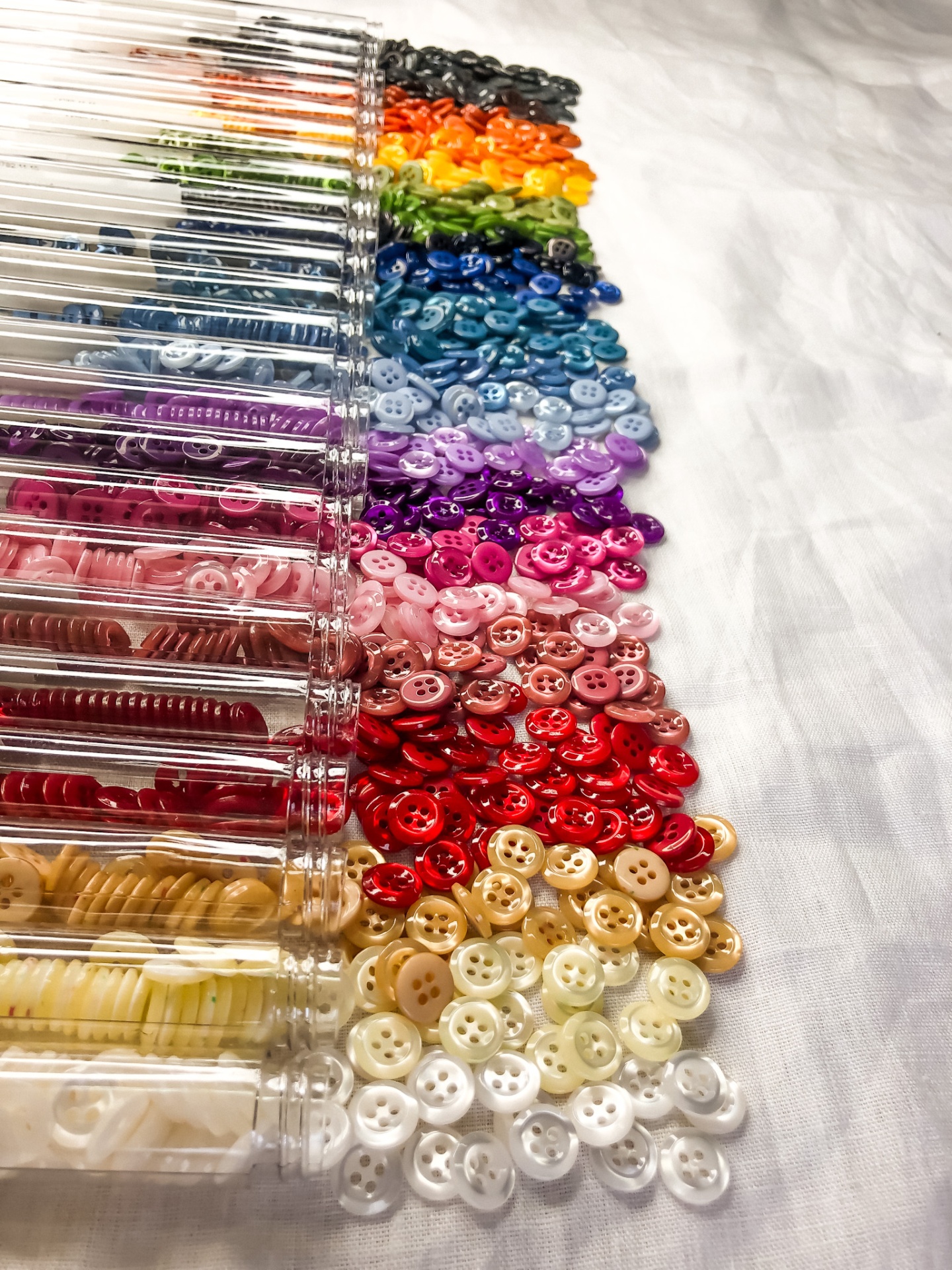 Botões pequenos redondos organizados por cor em recipientes transparentes sobre tecido branco