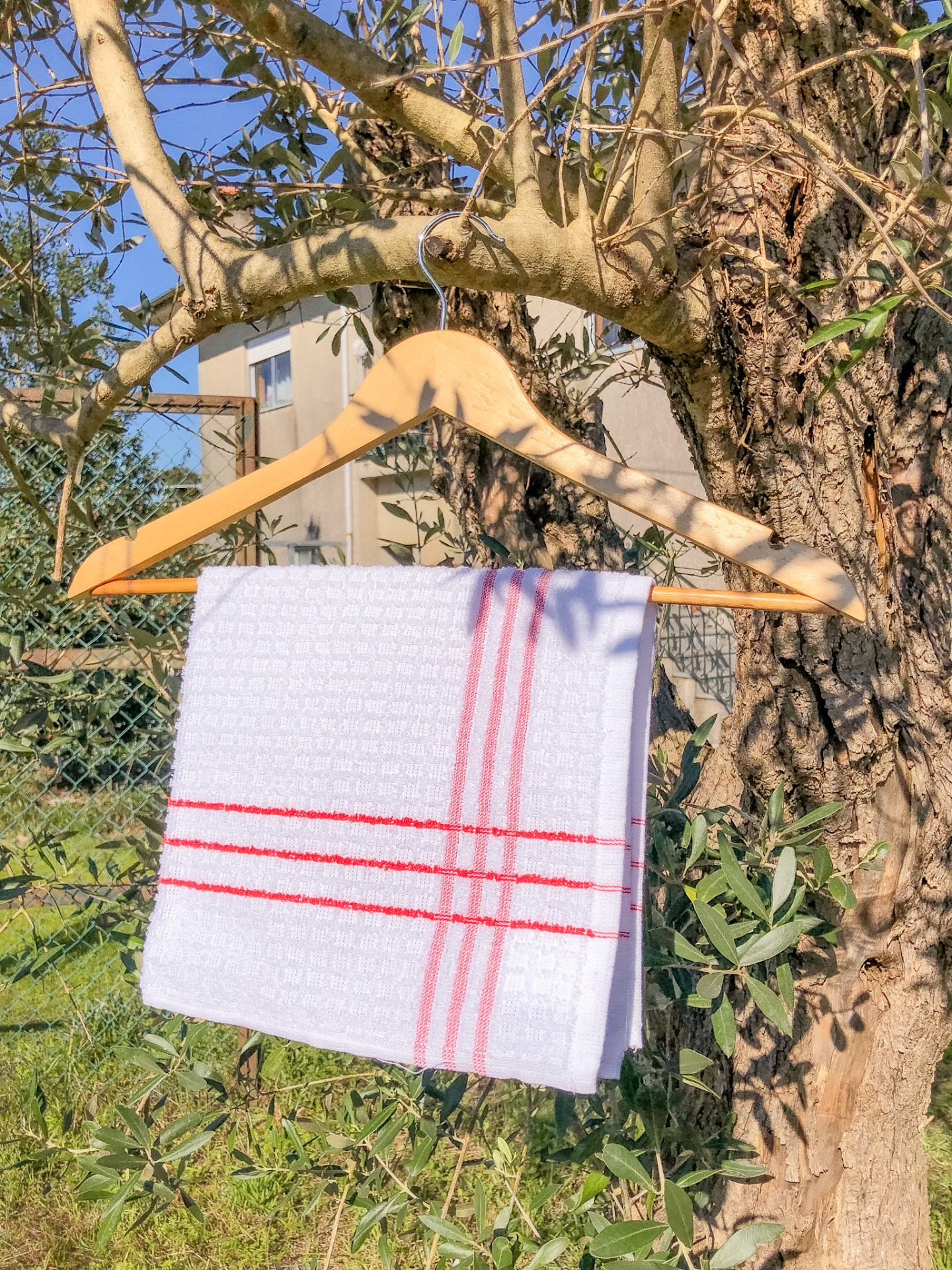 Toalha de cozinha branca com riscas vermelhas pendurada em cabide de madeira numa árvore