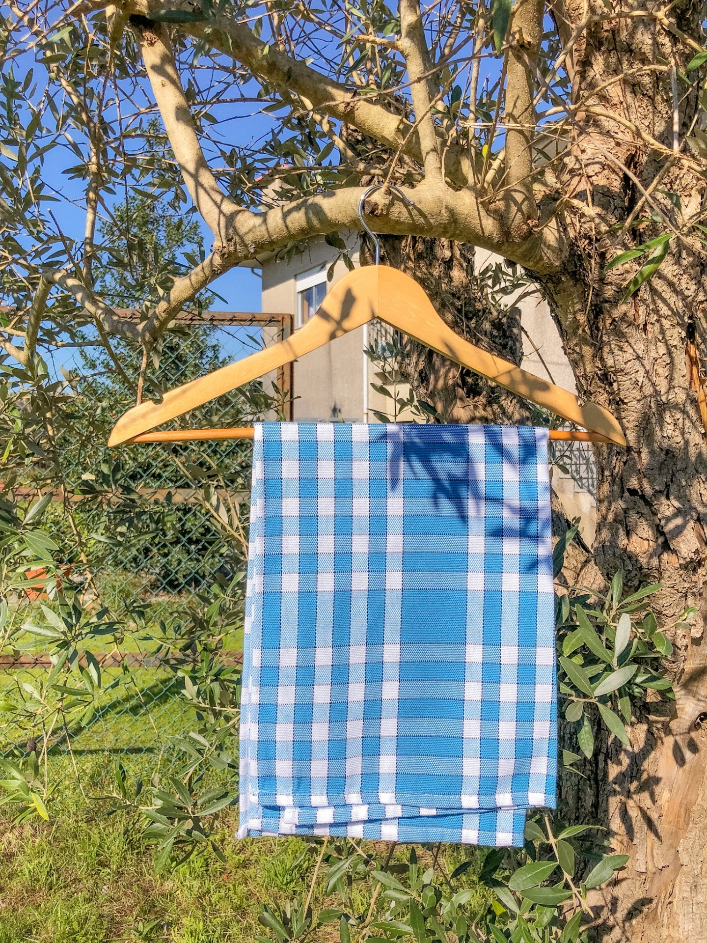 Toalha xadrez azul e branca pendurada num cabide de madeira numa árvore