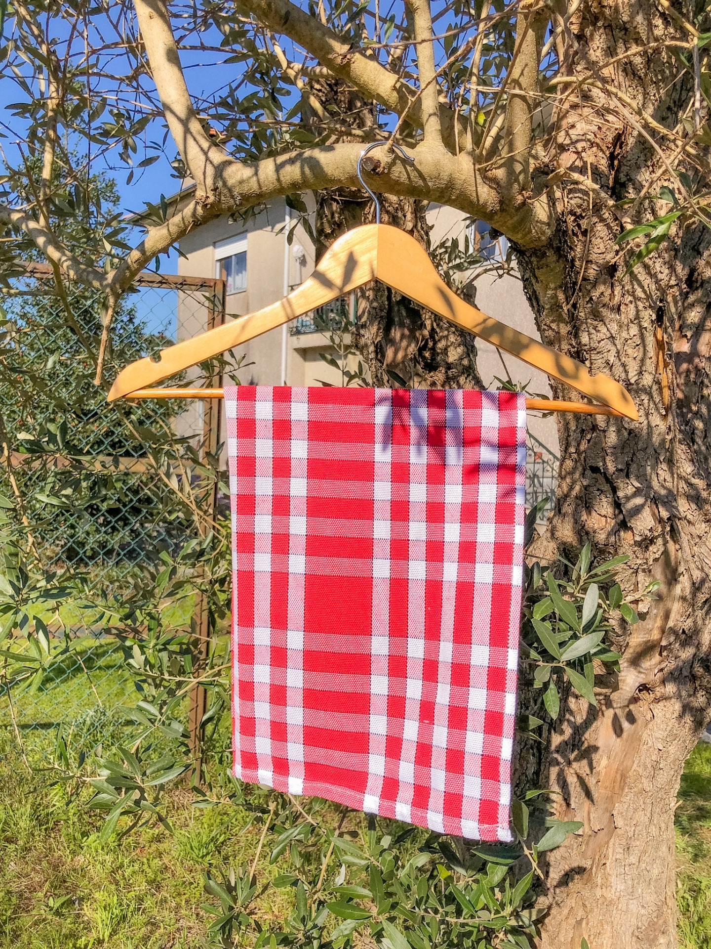 Pano de cozinha xadrez vermelho e branco pendurado em cabide de madeira numa árvore ao ar livre