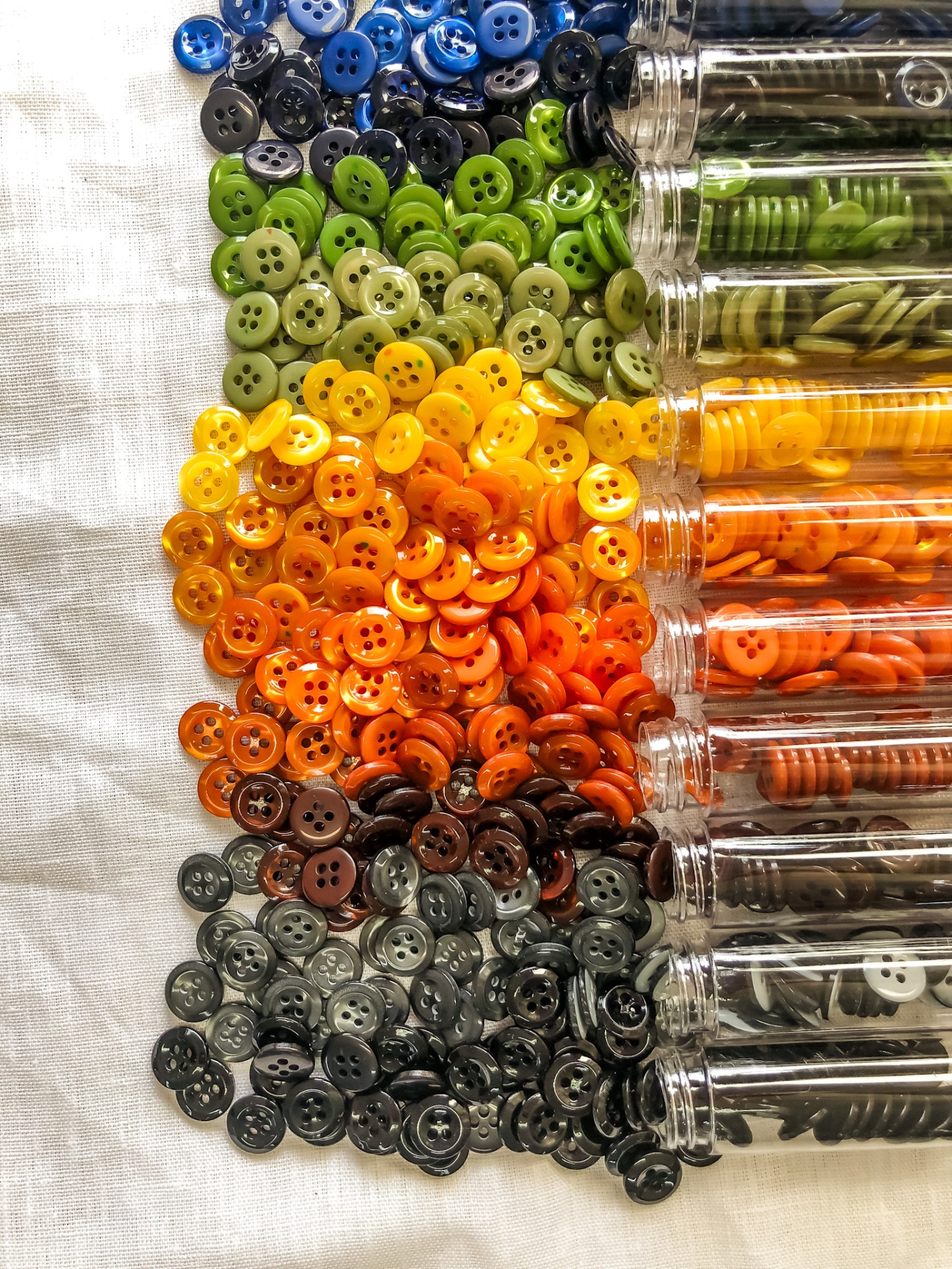 Botões coloridos organizados por cor em tubos transparentes sobre tecido branco