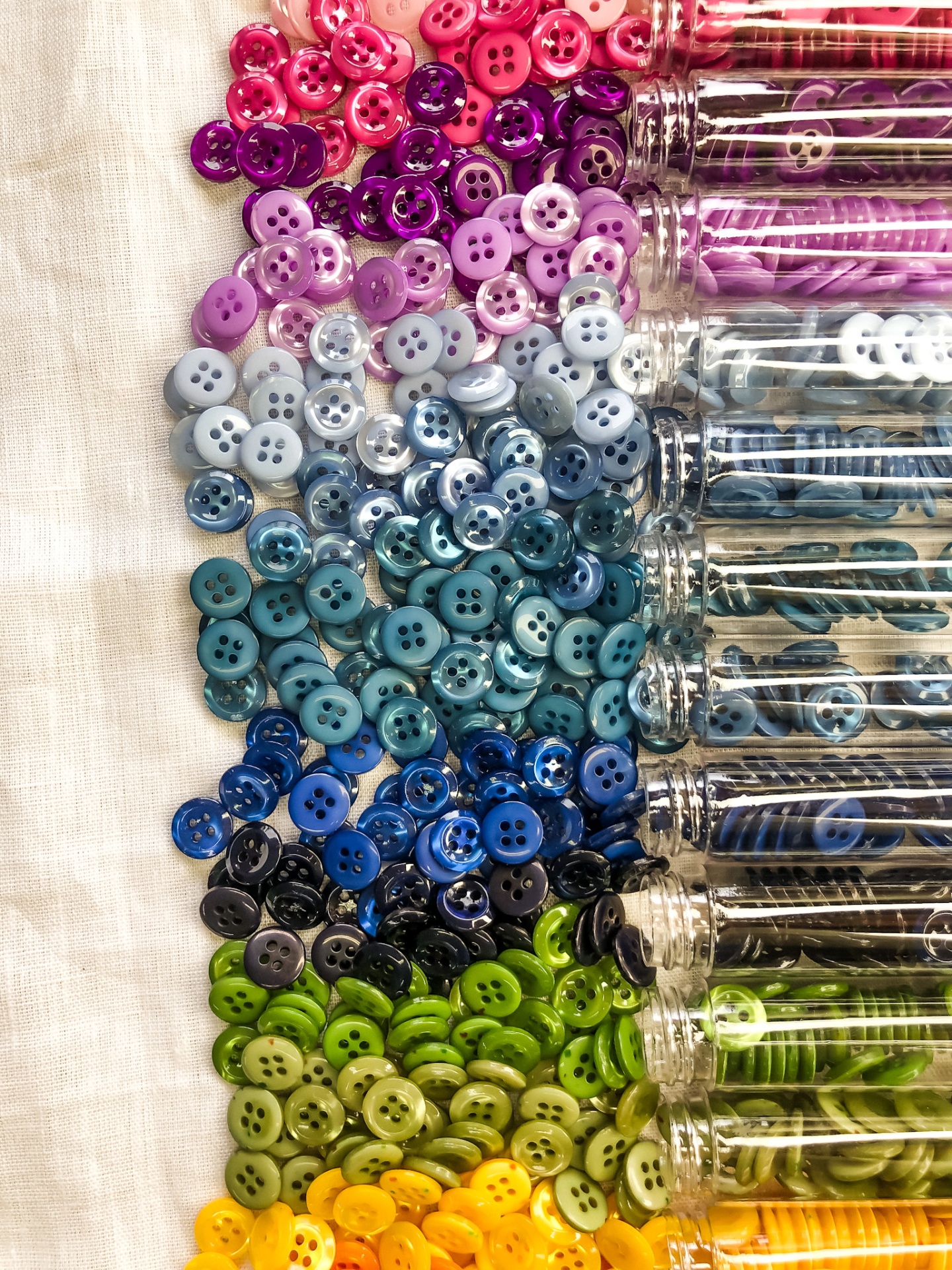 Botões coloridos organizados por cor em tubos transparentes sobre tecido branco