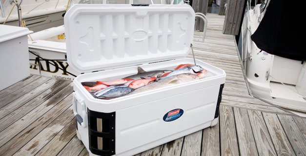 Geleiras Coleman Qualidade e Isolamento Geleira branca com peixes frescos no cais próximo a um barco